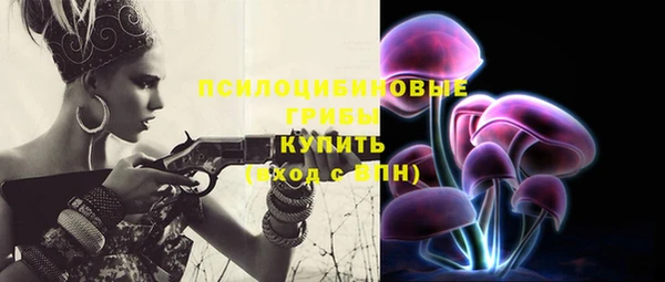 гашик Алзамай