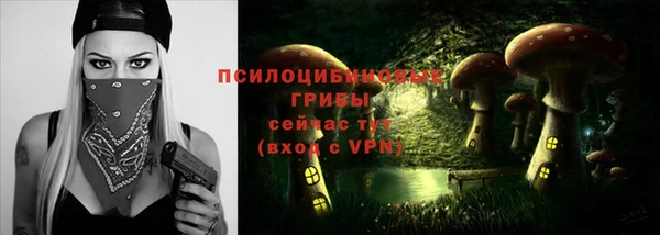 гашик Алзамай