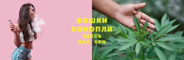 гашик Алзамай