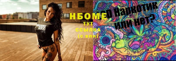 ПСИЛОЦИБИНОВЫЕ ГРИБЫ Алексин
