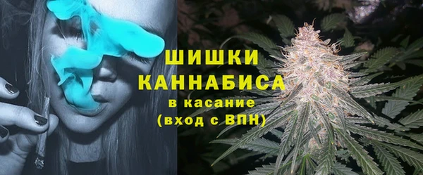 ПСИЛОЦИБИНОВЫЕ ГРИБЫ Алексин