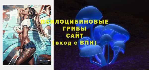 гашик Алзамай