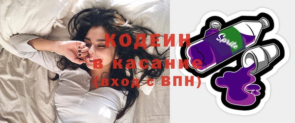 гашик Алексеевка